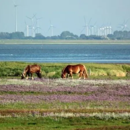 2 Im Haus Wattenblick * Baltrum