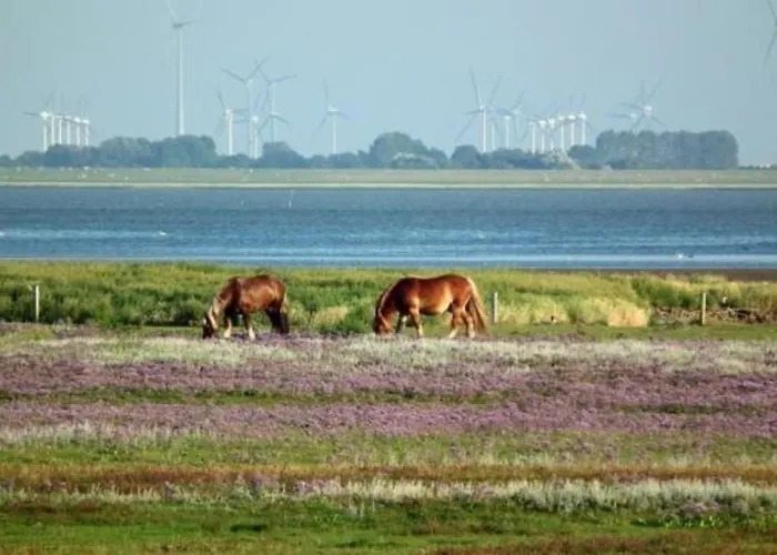 Whg 2 Im Haus Wattenblick * Baltrum